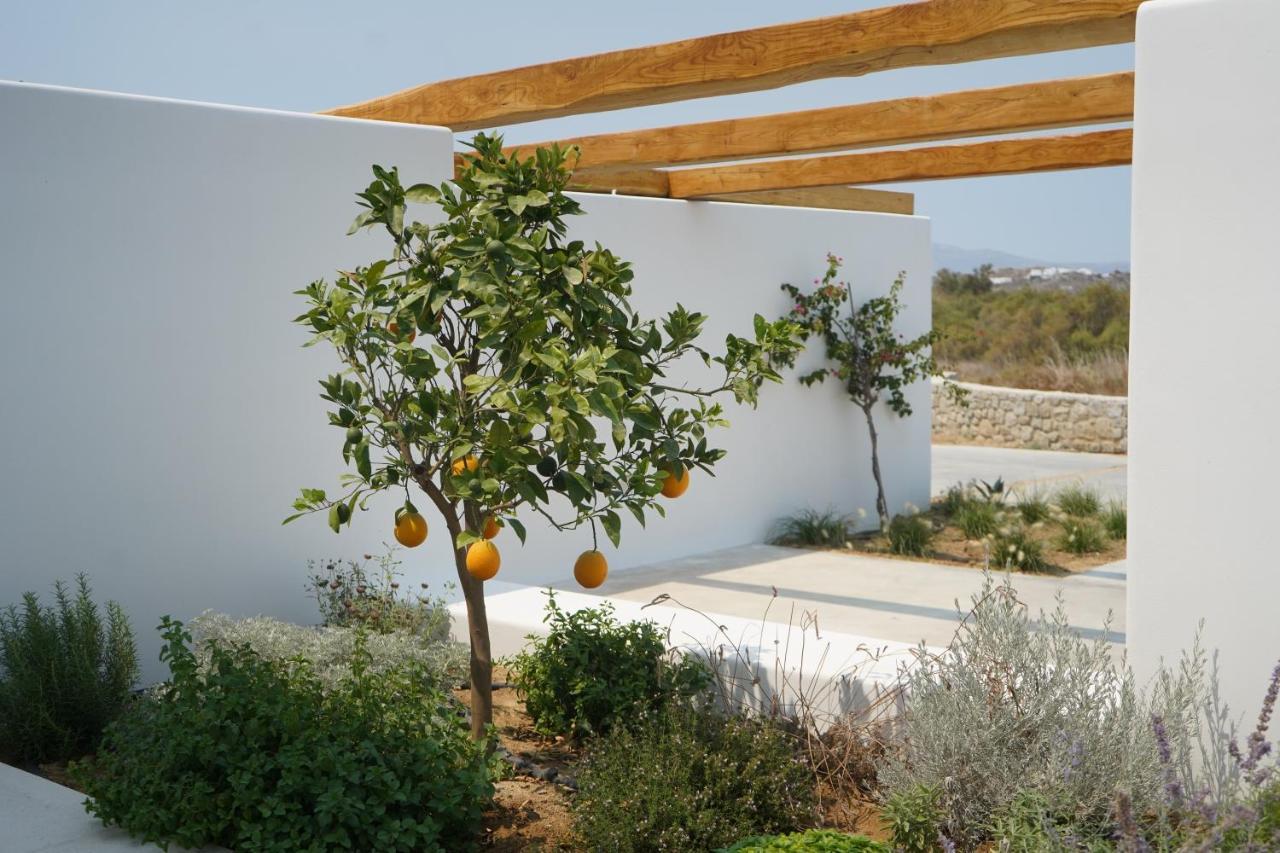 Alio Naxos Luxury Suites Agios Georgios  Exterior photo