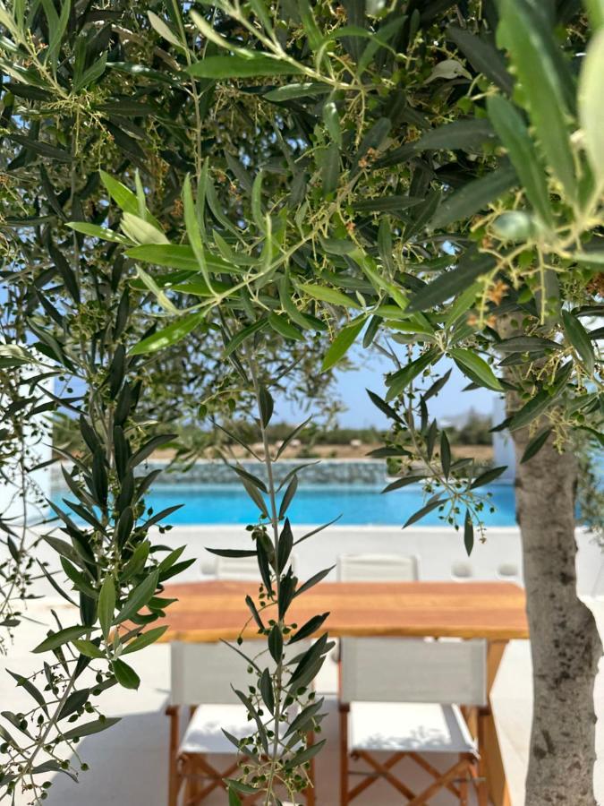 Alio Naxos Luxury Suites Agios Georgios  Exterior photo