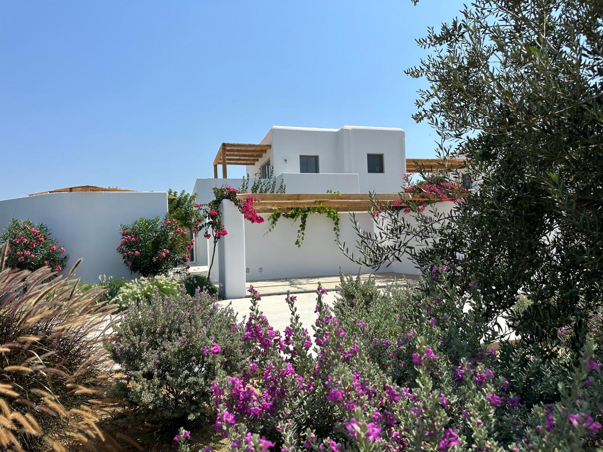 Alio Naxos Luxury Suites Agios Georgios  Exterior photo