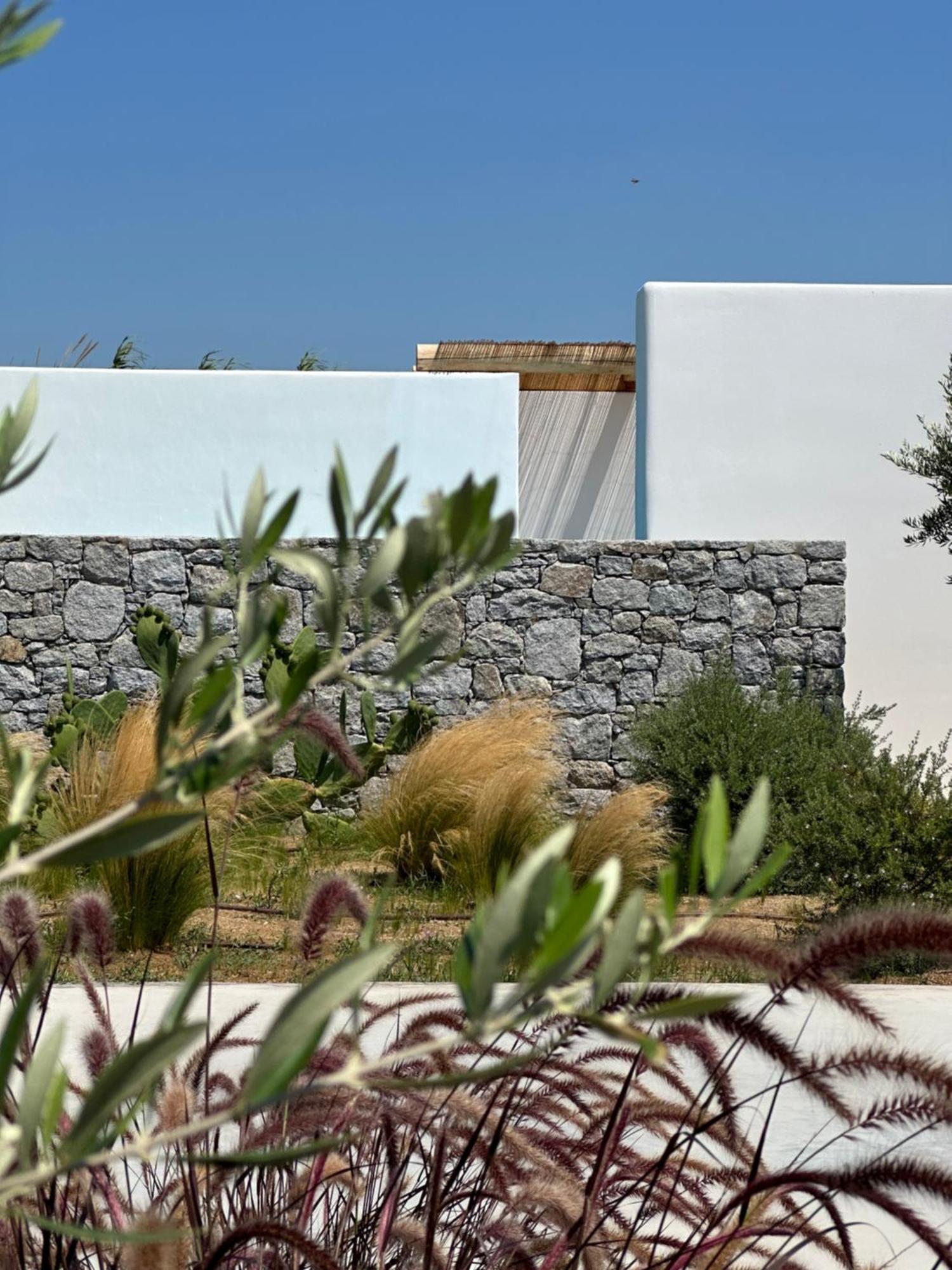 Alio Naxos Luxury Suites Agios Georgios  Exterior photo