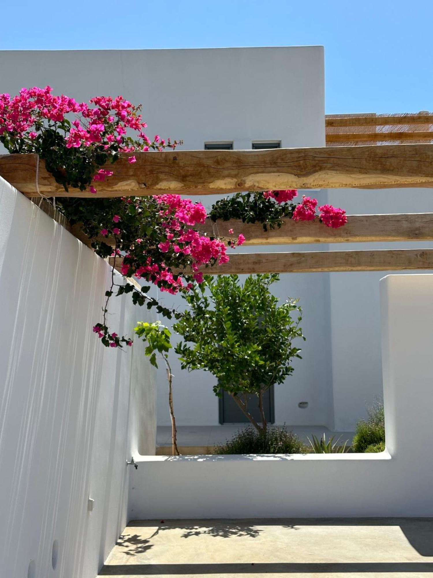 Alio Naxos Luxury Suites Agios Georgios  Exterior photo