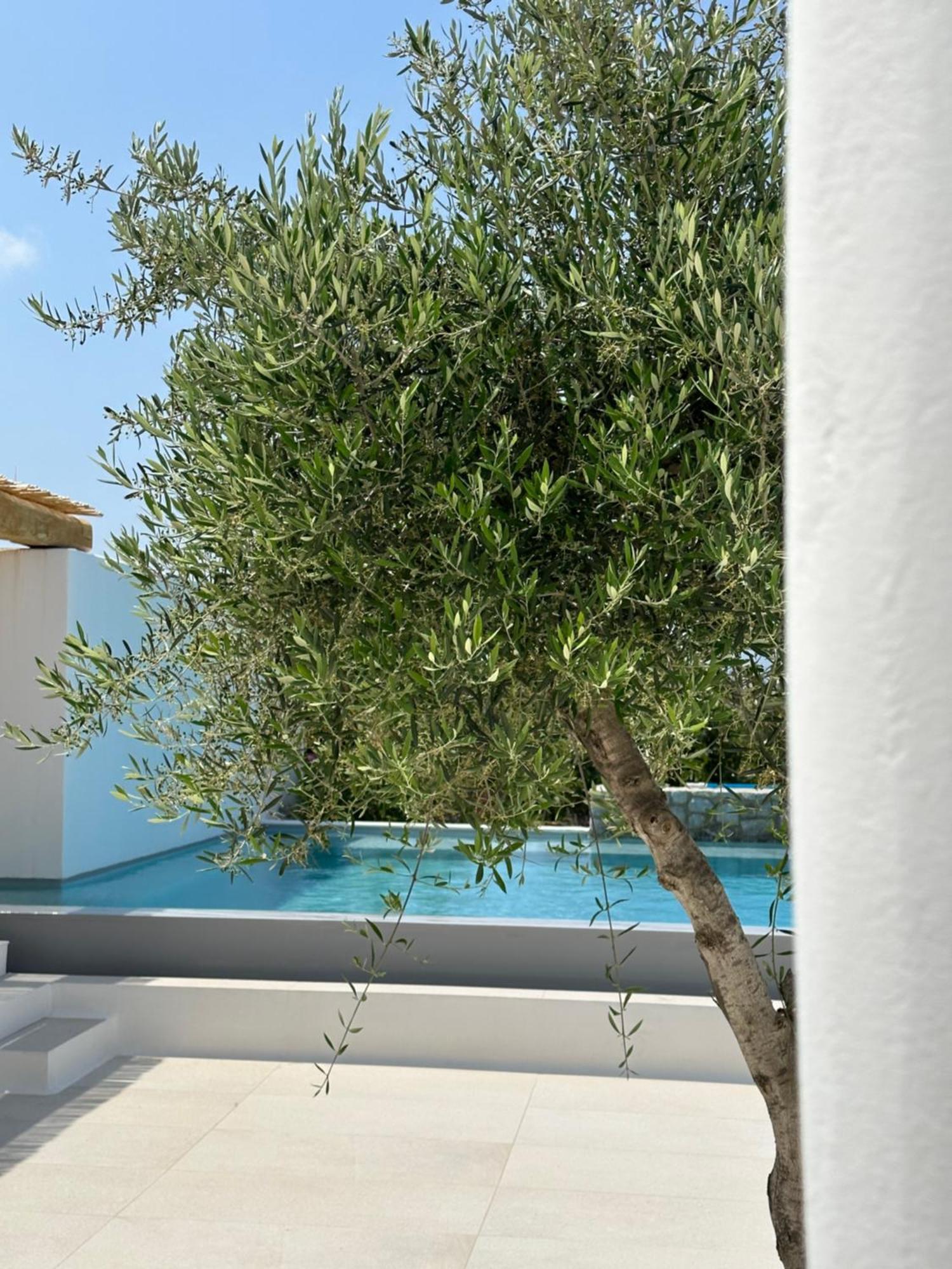 Alio Naxos Luxury Suites Agios Georgios  Exterior photo